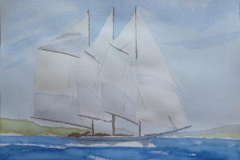 39_Marina_Velero2. Sandro&Reyes