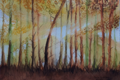 75_paisaje_Bosqye-en-otono