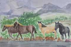 Acuarela-caballos-bretones