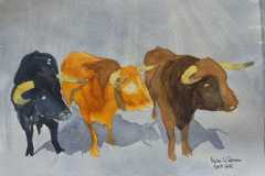acuarela-toros-iscar